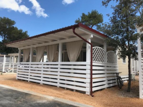 Mobile Homes Erika